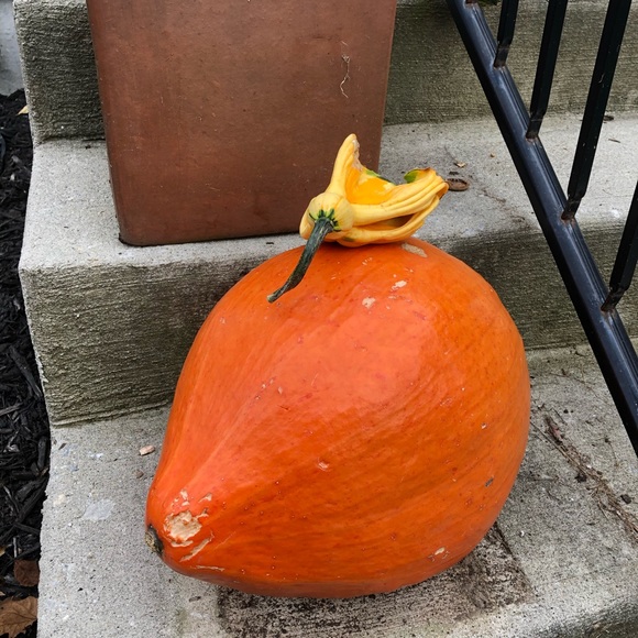 Meet your Posher, Jordynn - Picture 12 of 15